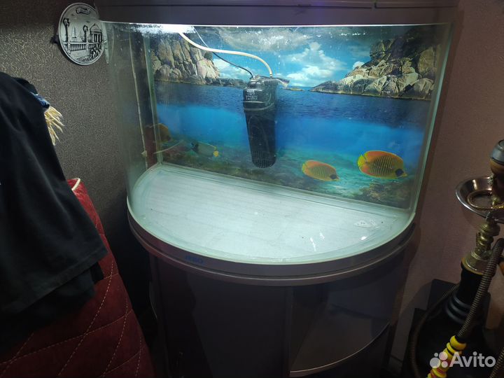 Аквариумные