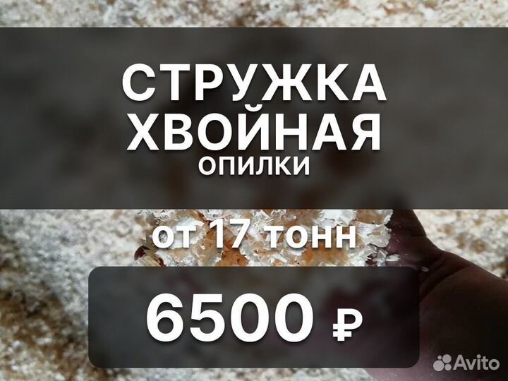 Стружка хвойная оптом