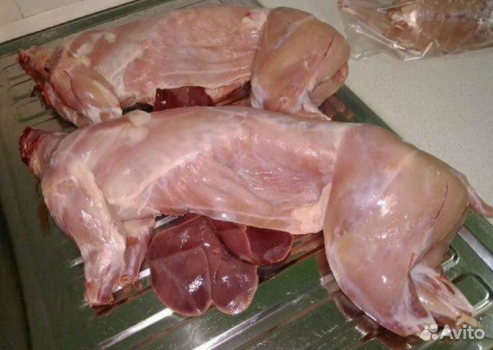 Продаю кроликов живьём и мясом