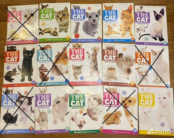 The cat collection