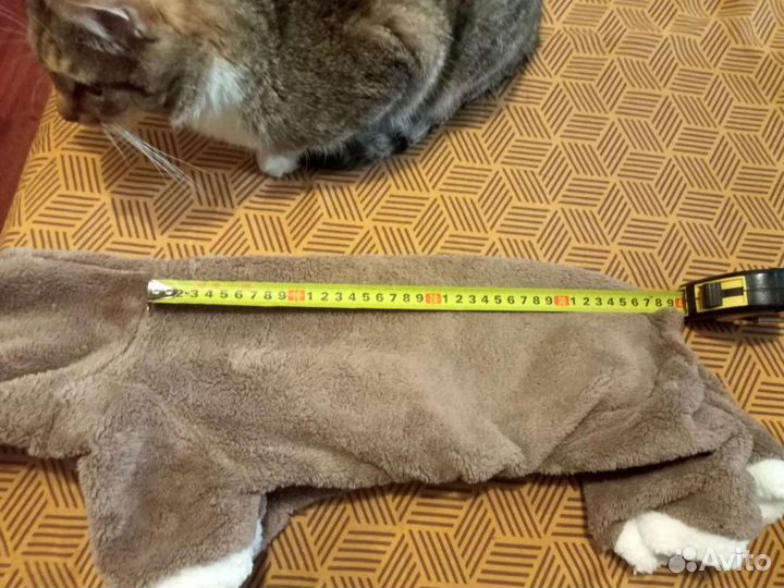 Костюмчик для собак и кошек