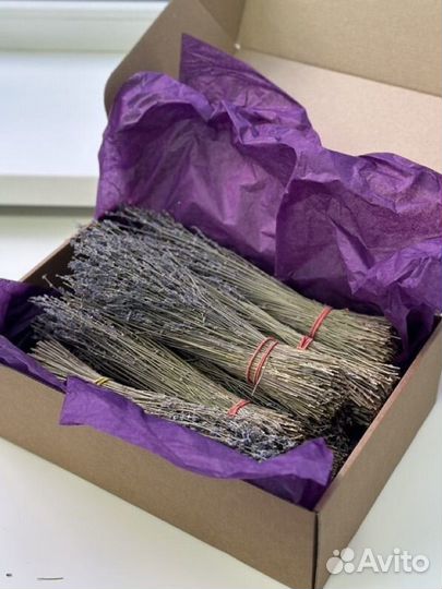 Лаванда сухоцвет