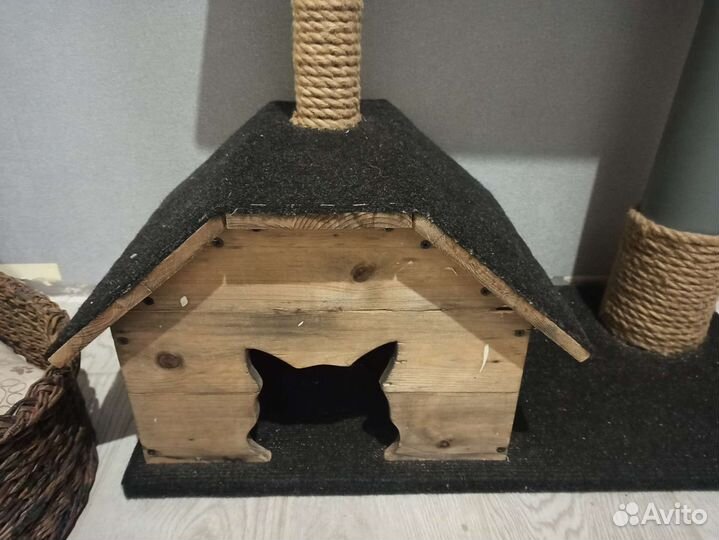 Когтеточка