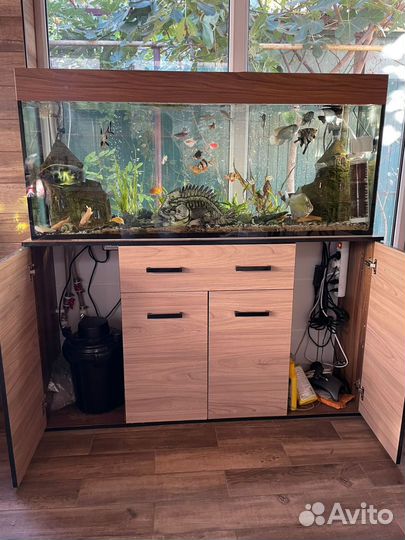 Аквариум
