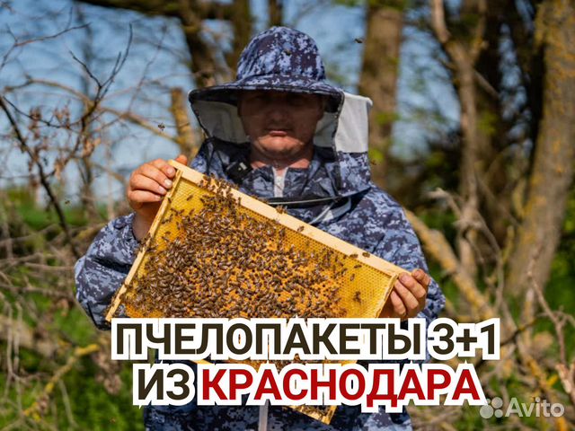 Пчелопакеты 3+1 из Краснодара