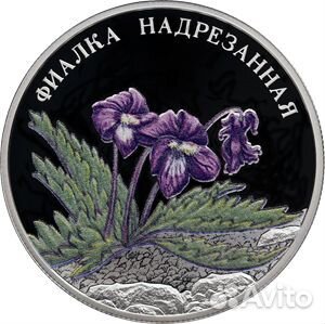 Серебряные монеты Банка России новинки 2024 год