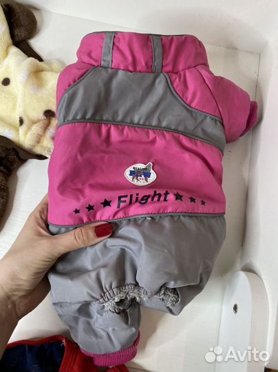 Одежда для собак мелких пород пакетом