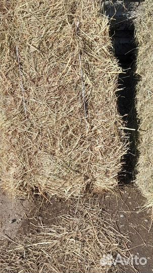 Разнотравье