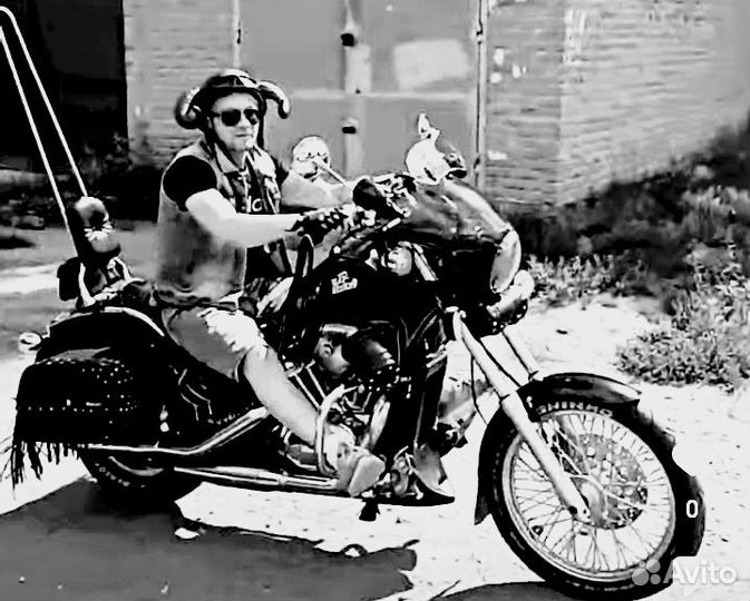 Honda Shadow, Steed
