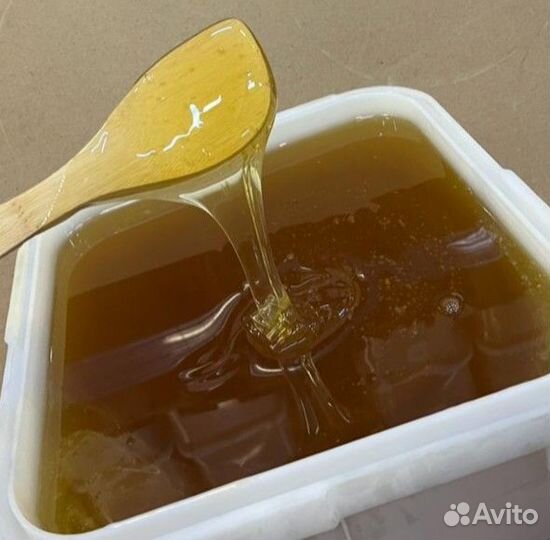 Мед оптом / лесной