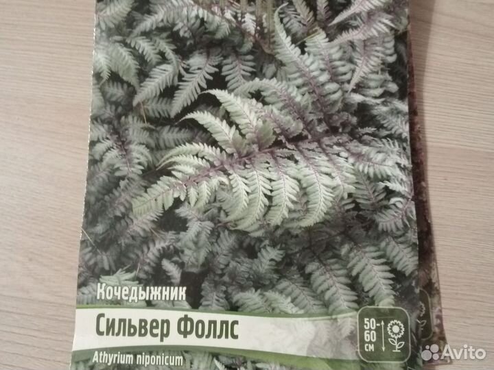 Кочедыжник