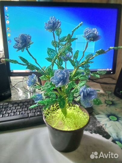 Кустовые розы