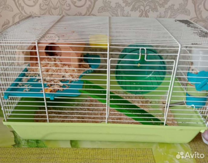 Клетка для грызунов