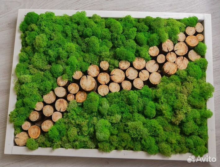 Мох Стабилизированный (Опт - Розница )