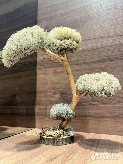 Дерево для подарка