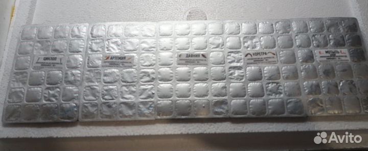 Замороженный корм для рыб в блистерах