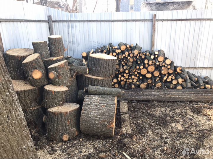 Спил деревьев