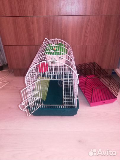 2 клетки для хомяков