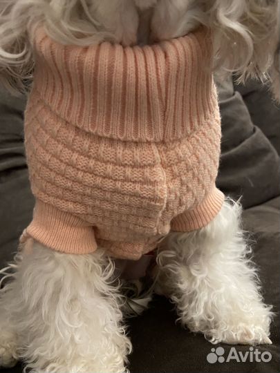 Свитер для собак