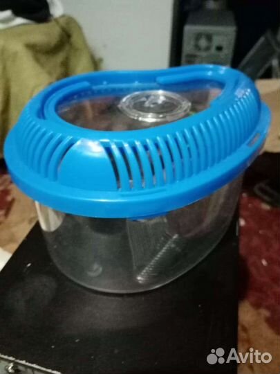 Мини черепашник