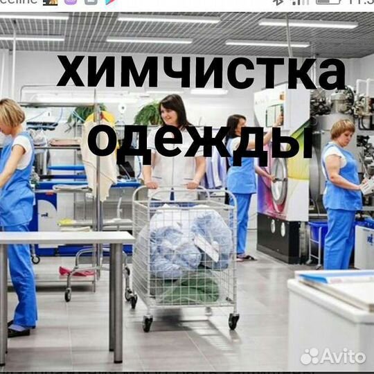 Химчистка одежды