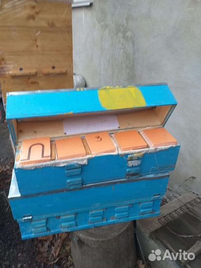 Улей для вывода маток