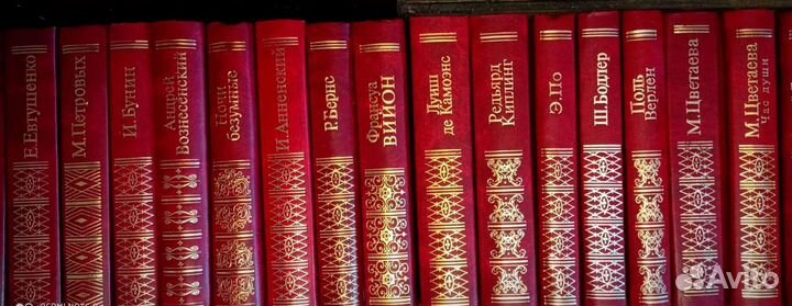 Домашняя библиотека поэзии