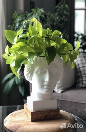 Бюст/кашпо из высокопрочного гипса h-32 см