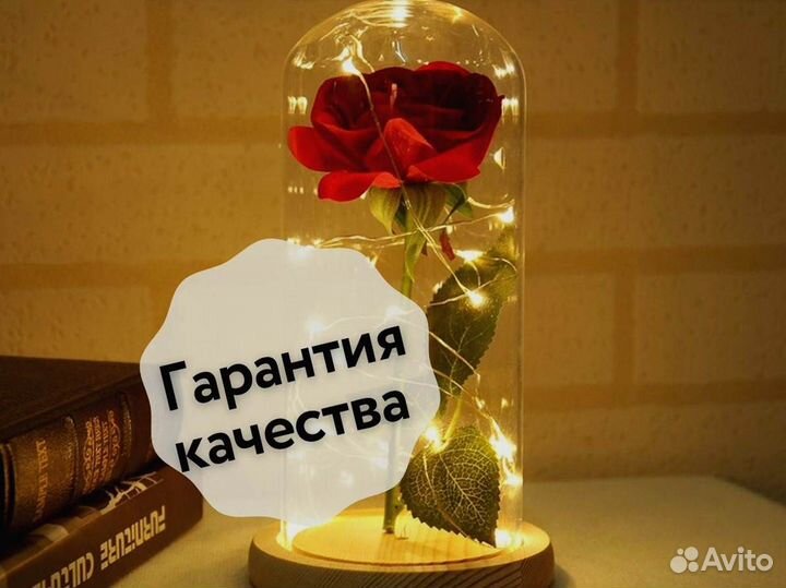 Роза в колбе. Новая
