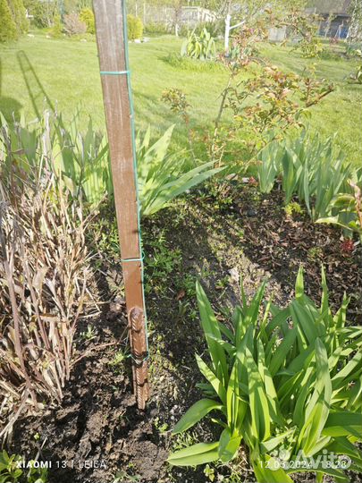 Шпалера металлическая