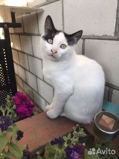 Брутальный парень