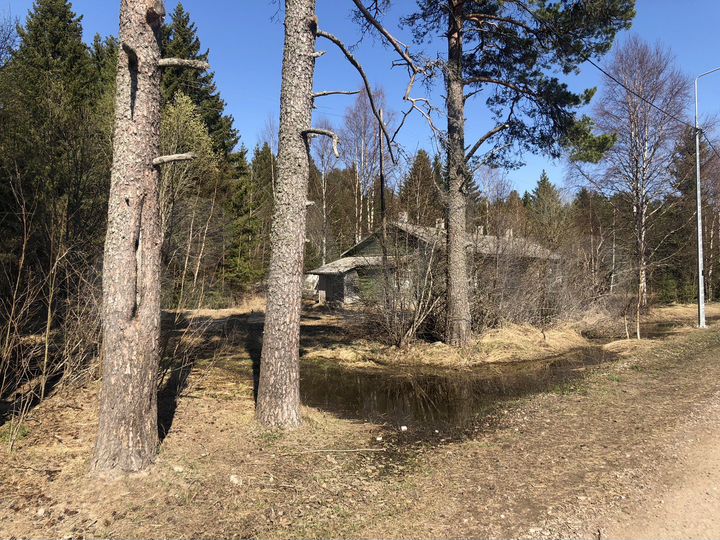 Участок 20 сот. (ИЖС)