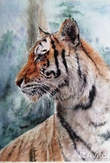 Большие кошки