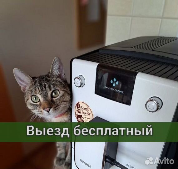 Ремонт кофемашин. Ремонт бытовой техники