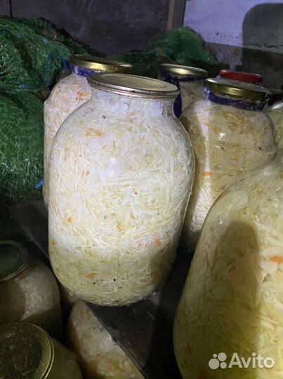 Капуста салатная
