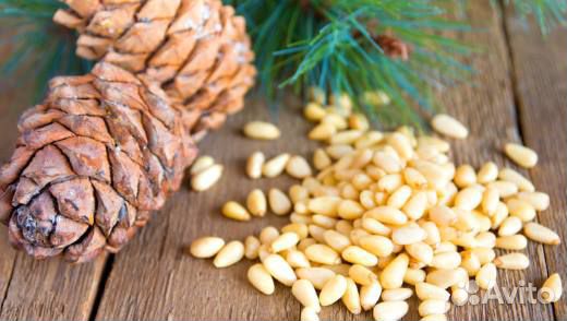 Свежий Кедровый орех Ядро