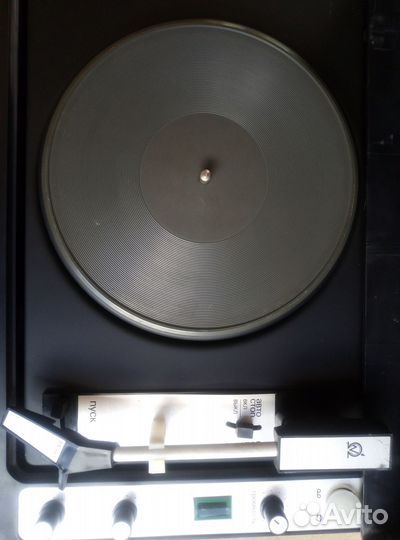 Электрофон концертный 304