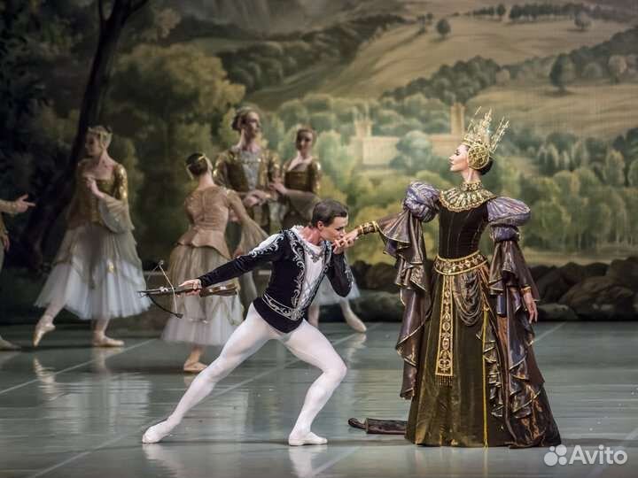 Билеты в большой театр. Лебединое озеро