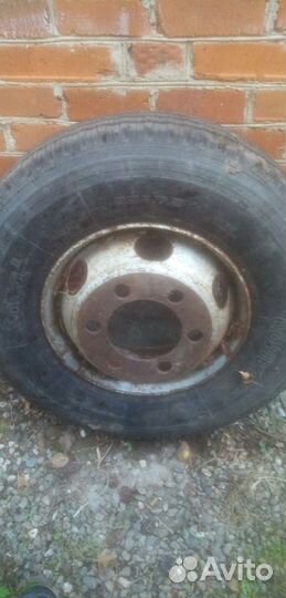 Резина 9.5 r17. 5