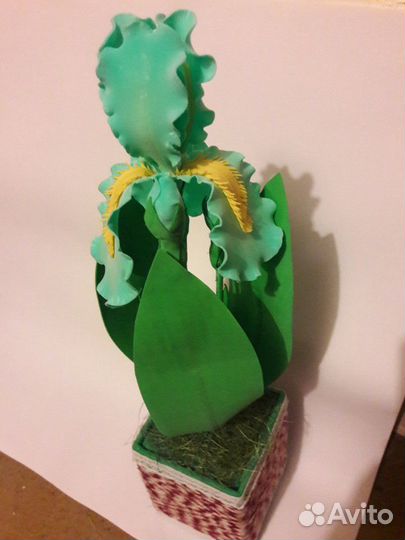 Ирис в горшке