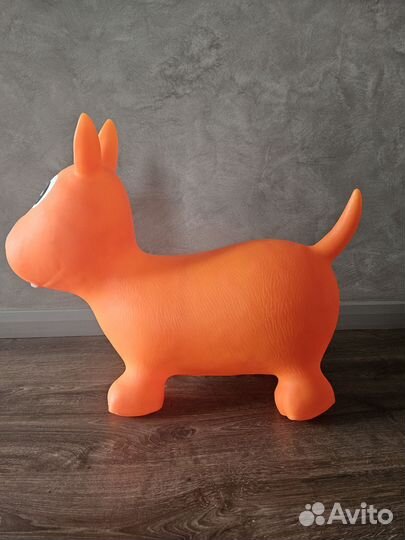 Прыгун щенок