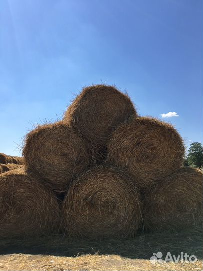 Солома в тюках