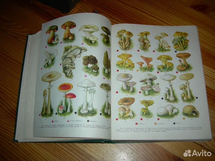 Книга Популярная медицинская энциклопедия 1980 год