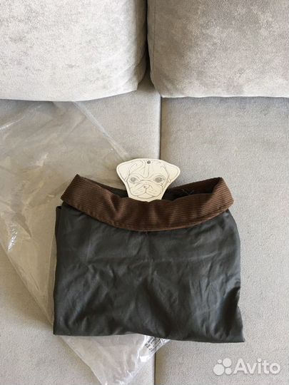 Одежда для собак