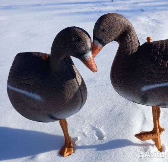 Муляж-чучела гусей (отдыхающие) белолобые