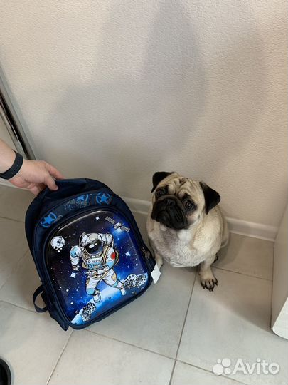 Школьный портфель рюкзак для мальчика для девочки