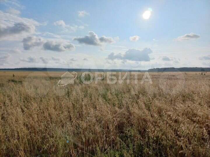 Участок 8,4 сот. (СНТ, ДНП)