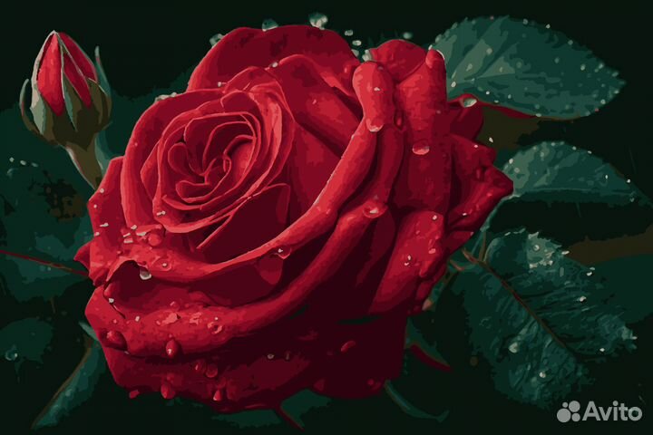 Картина по номерам новая 40х50 см