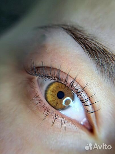 Маникюр, педикюр, брови, ресницы, макияж