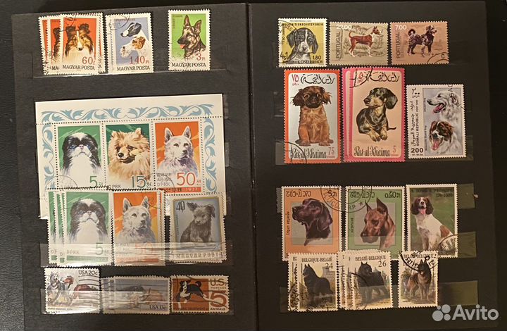 Почтовые марки по теме Собаки